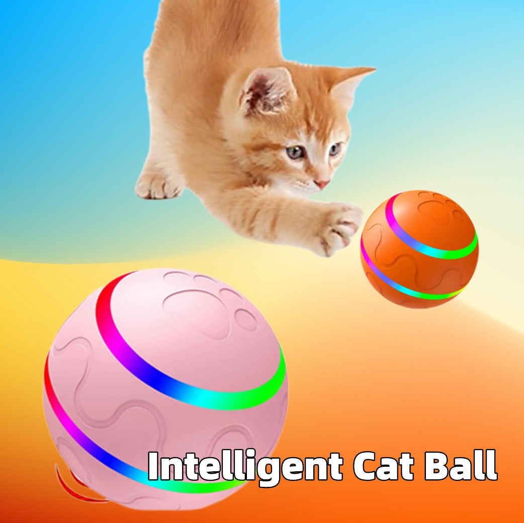 Cat playing with an intelligent cat ball on a colorful background